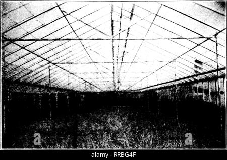 . Les fleuristes [microforme] examen. La floriculture. Ici, c'est Hardy F. Hill's Greenhouse. Veuillez noter que ces images sont extraites de la page numérisée des images qui peuvent avoir été retouchées numériquement pour plus de lisibilité - coloration et l'aspect de ces illustrations ne peut pas parfaitement ressembler à l'œuvre originale.. Chicago : les fleuristes Pub. Co Banque D'Images