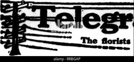 . Les fleuristes [microforme] examen. La floriculture. 126 Les fleuristes^ Review avril ". 1022. Le flortou cartes dont apparaissent sur les pages carryliig ce chef, sont prêts à des ordonnances de 1111 ** autres fleuristes pour deUvery osnal locaux sur la base. - ?. Veuillez noter que ces images sont extraites de la page numérisée des images qui peuvent avoir été retouchées numériquement pour plus de lisibilité - coloration et l'aspect de ces illustrations ne peut pas parfaitement ressembler à l'œuvre originale.. Chicago : les fleuristes Pub. Co Banque D'Images