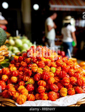 Piments Scotch Bonnet coloré en vente dans le marché Lavradores, Funchal, Madère, Portugal. Banque D'Images