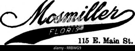 . Les fleuristes [microforme] examen. La floriculture. 413 MILWAUKEE Avenue Grand FLORAL ARRANGEMENTS EXCLUSIFS BAUMGARTEN, Inc. Membre F. D. T. 93 WISCONSIN ST. RICHMOND (Virginie). 115 E. Main St." Floriati Membre Aaaoeiatioa Livraison de télégraphe, de Richmond en Virginie l'Hammond Company, Inc. conduisant les fleuristes 109 EAST BROAD STREET : ROANOKE, VIRGINIE FALLON, membre les fleuristes Fleuriste Livraison Télégraphe Ass'n Charlottesville, Virginie W. A. Lankford*s, fleuriste ^^^. arg ff, Portsmouth en Virginie le coton Fleuriste, 333 High St Petersburg, VA. Mme. ROBT. R STILES. Rorift 910 Téléphone 1202 W. Waahington St LYNCHBURG, Virginie J. J. FALLON CO. '' Banque D'Images