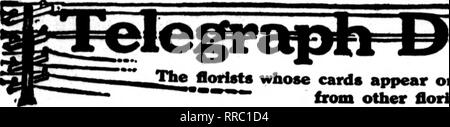 . Les fleuristes [microforme] examen. La floriculture. 19 janvier 1922 Le Horists^ Review 89. Veuillez noter que ces images sont extraites de la page numérisée des images qui peuvent avoir été retouchées numériquement pour plus de lisibilité - coloration et l'aspect de ces illustrations ne peut pas parfaitement ressembler à l'œuvre originale.. Chicago : les fleuristes Pub. Co Banque D'Images