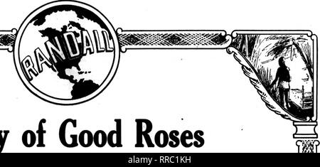. Les fleuristes [microforme] examen. La floriculture. Beaucoup de bons Roses toutes les variétés et toutes les longueurs de tige de 6,00 $, 8,00 $, 10,00 $, 12,00 $ et 15,00 $ par 100. Veuillez noter que ces images sont extraites de la page numérisée des images qui peuvent avoir été retouchées numériquement pour plus de lisibilité - coloration et l'aspect de ces illustrations ne peut pas parfaitement ressembler à l'œuvre originale.. Chicago : les fleuristes Pub. Co Banque D'Images