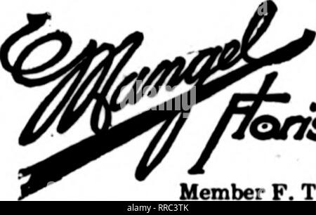 . Les fleuristes [microforme] examen. La floriculture. ^ les commandes. 2. CcirefuUy tLxecuted EVANSTON, malade. WILMETTE, malade. 1614 Sherman Ave. JEAN WEILAND 1161 Wilmette Avenue. Catarioc aux magasins d'IWO bwt commerce des Chiewe'e Bleb Saborbe Côte-Nord. Les États F. D. T.. Chicago ,^^LA PALMER g U/ MAISON FLOIUST 17 États de l'Est F. T. D. MoNROE St. CHICAGO, ILL. Boutique de fleurs CONGRÈS T. C. FOGARTY. Mgr. 620 S. Michigan Avenue Hôtel de Congrès aider considérablement, mais si les jours continuent à être sombre et lugubre, il est sûr d'avoir une pénurie, en particulier dans les roses. Les producteurs de^ rapport que les bourgeons sont au point mort. Fai Banque D'Images
