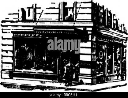 . Les fleuristes [microforme] examen. La floriculture. Les membres de LOS ANGELES* Fleuristes Livraison WOLFSKILL de télégraphe et de MORRIS GOLDENSON 229 West Third Street. 341 normes de Madison Avenue. Opp. Radisson Hotel New York Ihe Fleuriste Leader pendant près d'un demi-siècle NEW YORK CITY ADOLPH MEYER Dans le centre du quartier residentia BON TON 1062 Madison Avenue, près de le grand art Hvueum et Cleopatra's Etui Aiguill* nous couvrir l'île Long Jersey et Connecticut Téléphones : 2352-7019 Lenox. WILSON 3 et 6, avenue Greene Magasin Principal : Cor. Fulton St. BROOKLYN PROSPECT TÉLÉPHONE 6800 NEW YORK Brooklyn, N. Y. JAMES WEIR, Inc. 324, rue Fulton Banque D'Images