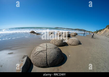 Les Moeraki Boulders sont exceptionnellement grandes et rochers sphériques situées le long d'un tronçon de la Koekohe plage sur la côte d'Otago coupé de la Nouvelle-Zélande entre Banque D'Images