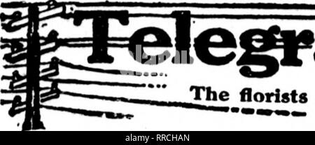 . Les fleuristes [microforme] examen. La floriculture. OCTOBKB Rorists 20, 1921 L'examen des 79. Le florigtg - cartes qui apparaissent sur les pages contenant cette tête, sont prêts à remplir les commandes "'"' frona autres fleuristes pour la livraison locale sur la base habituelle. ---. Veuillez noter que ces images sont extraites de la page numérisée des images qui peuvent avoir été retouchées numériquement pour plus de lisibilité - coloration et l'aspect de ces illustrations ne peut pas parfaitement ressembler à l'œuvre originale.. Chicago : les fleuristes Pub. Co Banque D'Images