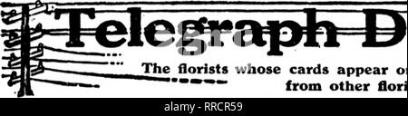 . Les fleuristes [microforme] examen. La floriculture. NOVBMBBB 17, 1921 L'examen les fleuristes.  Les fleuristes dont les cartes apparaissent sur les pages contenant cette tête, sont prêts à combler ordcr8   '""* ? D'autres fleuristes pour la livraison locale sur la base d'habitude.. Veuillez noter que ces images sont extraites de la page numérisée des images qui peuvent avoir été retouchées numériquement pour plus de lisibilité - coloration et l'aspect de ces illustrations ne peut pas parfaitement ressembler à l'œuvre originale.. Chicago : les fleuristes Pub. Co Banque D'Images