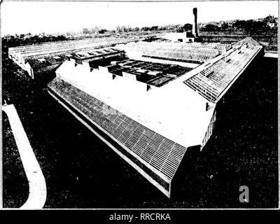. Les fleuristes [microforme] examen. La floriculture. Gamme de Chas. P. Mueller à Wicliita, Kan-comme. M. Mueller, avoir du poids, car il est un auihoriiy greeuhouses sur les questions relatives à. JOHN C. MONINGER CO.. 12 septembre 1921 914, rue Blackhawk. Chicago, Illinois. Genilemen :-Nos maisons sont à remplir et tiens à dire que je suis très heureux avec le matériel la façon dont il est sorti. Après avoir déterminer ces deux maisons je trouve qu'ils sont les plus économiques houpe ? Un par sur pourrait mettre en place, comme je l'ai trouver nous gagnent quatre pieds ou, dans ces deux maisons, quatre carrés) hundrei olof fi l'espace tout en utilisant^ l Banque D'Images