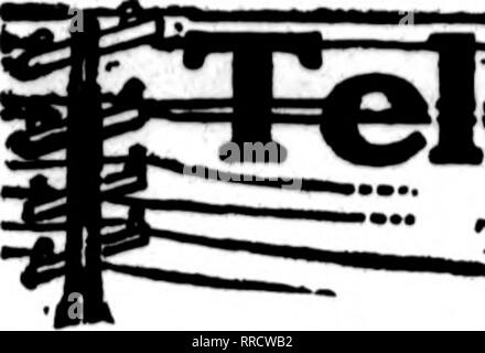 . Les fleuristes [microforme] examen. La floriculture. 25 août 1921 Le Rorists' Review. Veuillez noter que ces images sont extraites de la page numérisée des images qui peuvent avoir été retouchées numériquement pour plus de lisibilité - coloration et l'aspect de ces illustrations ne peut pas parfaitement ressembler à l'œuvre originale.. Chicago : les fleuristes Pub. Co Banque D'Images