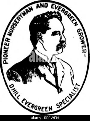 . Les fleuristes [microforme] examen. La floriculture. 17 novembre, 1921 Les fleuristes^ Examen 23 Maintenant ! Evergreens ! ! Pour les jardinières et Tubbing à partir de maintenant jusqu'à Noël. Jeter le stock d'offres et le remplir de hardy à feuilles persistantes. Faire de votre fenêtre de dialogue et d'affaires tubbing faire double emploi. Voir à ce que vos clients sont fournis avec les conifères rustiques pour leurs boîtes de fenêtre et urnes durant les mois d'hiver, tout comme vous voir à ce que les géraniums et Vincas sont là pour la décoration jour. Pour l'hiver déco Hill's Hardy de conifères sont indispensables. Le charmant et rare effets feuillage Evergreen de parfum Banque D'Images