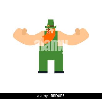 Leprechaun isolés. St Patrick Day caractère. Maison de vacances irlandais. En chapeau vert nain Illustration de Vecteur