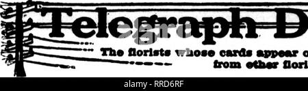 . Les fleuristes [microforme] examen. La floriculture. 110 Le Rorists DncBUBBB' Review 16, 1820. Le Oorlsts eartfa dont &gt ;^»«- de sur l'et pas eajrnrlnB ce h"d", sont prêts à remplir les commandes pour Oorlsts deUverr iisnal locaux sur la base.. Veuillez noter que ces images sont extraites de la page numérisée des images qui peuvent avoir été retouchées numériquement pour plus de lisibilité - coloration et l'aspect de ces illustrations ne peut pas parfaitement ressembler à l'œuvre originale.. Chicago : les fleuristes Pub. Co Banque D'Images