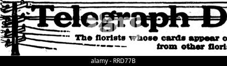 . Les fleuristes [microforme] examen. La floriculture. 76 L'examen pour fleuristes 7 juillet 1921. Veuillez noter que ces images sont extraites de la page numérisée des images qui peuvent avoir été retouchées numériquement pour plus de lisibilité - coloration et l'aspect de ces illustrations ne peut pas parfaitement ressembler à l'œuvre originale.. Chicago : les fleuristes Pub. Co Banque D'Images