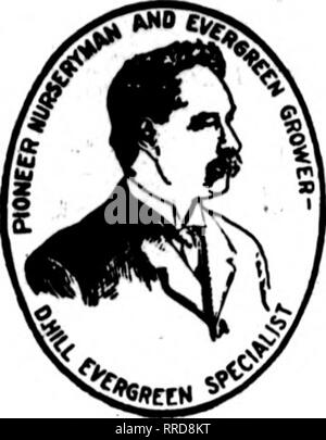 . Les fleuristes [microforme] examen. La floriculture. 24, 1921 NOTBMBBB^ Fleuristes L'examen 17. Maintenant ! Evergreens ! ! Pour les jardinières et Tubbing à partir de maintenant jusqu'à Noël. Jeter le stock d'offres et le remplir de hardy à feuilles persistantes. Faire de votre fenêtre de dialogue et d'affaires tubbing faire double emploi. Voir à ce que vos clients sont fournis avec les conifères rustiques pour leurs boîtes de fenêtre et urnes durant les mois d'hiver, tout comme vous voir à ce que les géraniums et Vincas sont là pour la décoration jour. Pour l'hiver déco Hill's Hardy de conifères sont indispensables. La charmante et effets du feuillage de Evergree parfum rare Banque D'Images