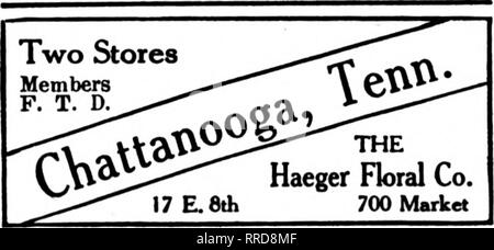 . Les fleuristes [microforme] examen. La floriculture. Geny Bros, fleuristes fleuristes membres" Teleeraph 212 Livraison 5ème Avenue Nord. NASHVILLE, Tenn.. Memphis, Tennessee MEMPHIS Fil FLORAL CO. nous. Nous livrons le Mississippi, Arkansas, Tennessee "nous" GrSuses Mcmphis jamais dormir, Tenii. 89, rue Principale Sud "jusqu'à la minute" et de l'exécution du service télégraphique pour fleuristes membre Envoyer Livraison aU MEMPHIS des ordres à la boutique de fleurs 81 Avenue de l'Union de Memphis. TENNESSEE Memphis, Tennessee JOHNSON'S GREENHOUSES 161 MADISON AVE. Créé 1888 Florists' Membre Prestation Télégraphe Ass'n BALTIMORE SamueLFeas Banque D'Images