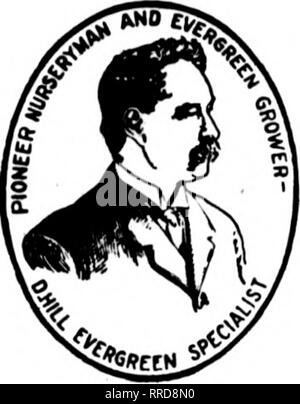 . Les fleuristes [microforme] examen. La floriculture. 24, 1921 NOTEMBBB^ Fleuristes L'examen 17. Maintenant ! Evergreens ! ! Pour les jardinières et Tubbing à partir de maintenant jusqu'à Noël. Jeter le stock d'offres et le remplir de hardy à feuilles persistantes. Faire de votre fenêtre de dialogue et d'affaires tubbing faire double emploi. Voir à ce que vos clients sont fournis avec les conifères rustiques pour leurs boîtes de fenêtre et urnes pendant le w^entre mois, tout comme vous voir à ce que les géraniums et Vincas sont là pour la décoration jour. Pour l'hiver déco Hill's Hardy de conifères sont indispensables. La charmante et effets du feuillage de parfum rare Evergre Banque D'Images