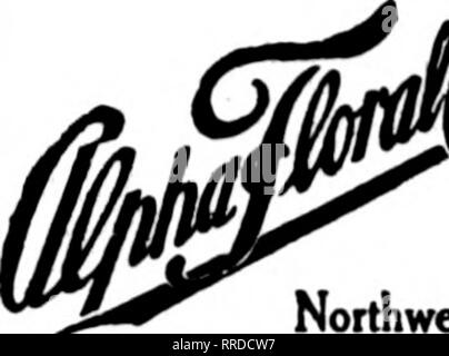 . Les fleuristes [microforme] examen. La floriculture. Les MAISONS DE CHICAGO Northwest fleurs comer notre devise Wabash Avenue et Adams Street "SATISFACTION. La qualité et le service". Veuillez noter que ces images sont extraites de la page numérisée des images qui peuvent avoir été retouchées numériquement pour plus de lisibilité - coloration et l'aspect de ces illustrations ne peut pas parfaitement ressembler à l'œuvre originale.. Chicago : les fleuristes Pub. Co Banque D'Images