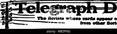 . Les fleuristes [microforme] examen. La floriculture. MAV 26, 1921 Les fleuristes^ l'examen. Florlat* e* C* je earda ?^- de. Veuillez noter que ces images sont extraites de la page numérisée des images qui peuvent avoir été retouchées numériquement pour plus de lisibilité - coloration et l'aspect de ces illustrations ne peut pas parfaitement ressembler à l'œuvre originale.. Chicago : les fleuristes Pub. Co Banque D'Images