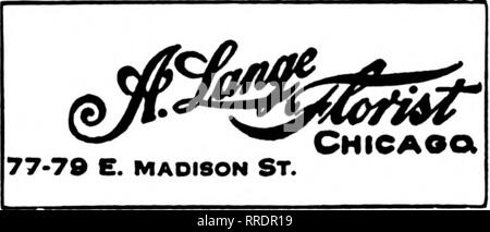 . Les fleuristes [microforme] examen. La floriculture. EVANSTON, malade. WILMETTE, malade. 1614 Sherman Ave. DES ZONES HUMIDES 1161, avenue JOHN Wilmette deux magasins à la restauration commerciale Chieatro bMt dans une cloque'Soborba Côte-Nord. Les États F. D. T. CHICAGO B O H A N N O N'HORTICULTURE États F. D. T. 75 E. Monroe St.. CHICAGO O'LEARY-Florist 369 East 47th Street États P. D. T. à $35, le Premier Ministre et roses rouges de 20 à 50 $. C'était moins cher qu'il y a un an, lorsque la limite de 75 $ a été atteint pour les roses qui n'étaient pas mieux. Carna- tions portées 12 $ et 15 $, ce dernier prix étant pour le rouge. Certains de l'ensemble- salers vendu tous Banque D'Images