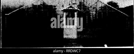 . Les fleuristes [microforme] examen. La floriculture. 14 juillet 1921 l'examen les fleuristes 125 nourrir vos plantes et économiser de l'argent Temps de main-d'^ ?&gt ; la vie végétale^ ; *3 Utilisation 1 Gallon avec 200 gallons d'eau. Fritz Bahr n-lire ce qu'il taya : (Yra tous les kn*w lui.) "Trois doMS de '' la vie végétale sared je donne à thootandf J dernier passage de 3K-u&gt;ch geraninmt oitcome et le wai plus d'pleaiiag Hifhland ». | Parc, Ulinoii. FRITZ BAHR, Floritt. Nous fabriquons également les Zenke, insecticide végétal composé par gallon, 2 $ l'Zenke fongicide liquide, par gallon, - - - 3,00 f les prix. 0. b. Chicago. Banque D'Images