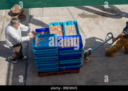Les pêcheurs se promènent un chariot de boîtes contenant du poisson frais, récemment déchargé d'un bateau de pêche, le long du quai au port de Denia en Espagne. Banque D'Images