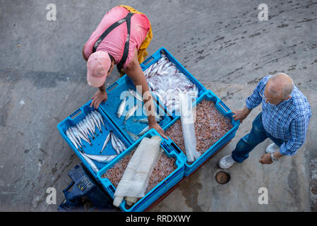 Les pêcheurs se promènent un chariot de boîtes contenant du poisson frais, récemment déchargé d'un bateau de pêche, le long du quai au port de Denia en Espagne. Banque D'Images