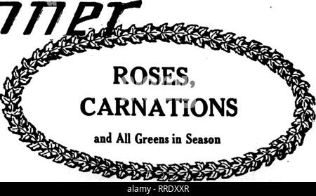 . Les fleuristes [microforme] examen. La floriculture. 1894 750 000 ÉTABLI POUR LES PAPILLES ...MEMORIAL DAY... CAPE JASMINS-GRANDIFLORA ayant eu un hiver doux et au début du printemps, mon Jasmin Grove est à mettre sur une croissance formidable, de l'assurance longue, tiges droites avec une abondance d'un feuillage vert foncé et commencera à se déplacer le 12 mai à 15, ce qui donne amplement le temps d'atteindre ceux qui ont besoin d'un long transport. Étant situé près de Houston, mon voyage est sans égal. Vos commandes sont emballées dans la meilleure façon possible et remplie sans délai, et sera confirmée par retour de mail ou le fil. Veuillez placer votre ou Banque D'Images