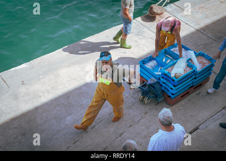 Les pêcheurs se promènent un chariot de boîtes contenant du poisson frais, récemment déchargé d'un bateau de pêche, le long du quai au port de Denia en Espagne. Banque D'Images
