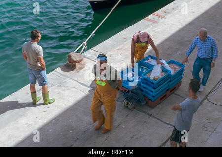 Les pêcheurs se promènent un chariot de boîtes contenant du poisson frais, récemment déchargé d'un bateau de pêche, le long du quai au port de Denia en Espagne. Banque D'Images