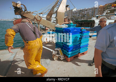 Les pêcheurs se promènent un chariot de boîtes contenant du poisson frais, récemment déchargé d'un bateau de pêche, le long du quai au port de Denia en Espagne. Banque D'Images