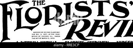 . Les fleuristes [microforme] examen. La floriculture. lO c. la copie des souscriptions 2,00 $ r^. Entré COMME DEUXIÈME CLASSE MAT TEB DEC. 3. 1997. À L'APRÈS- BUREAU À CHICAGO. Mauvais. La loi de l'UEDN DU 3 MARS. 1879 rRE/IEfV un journal hebdomadaire"" fleuristes. Les semenciers "-"les pépiniéristes. IXOKISTSi' PUBLISHING CO., Caxtoii Buildinsr 5)50, 508 BeurbMra Sud St., C1IIC.V2.ik) par i-a.-il à 10 pouces, 200 cas à thn 55.0O cas ptr GÉRANIUMS S. A. Nutt, Buchner et Scarlet Bedder, boutures, S;2..50 pel- lOO ; 22,50 $ par KKXt. Barney, enracinée, cuttinKS : $ !.(" p. 100 ; J27.5') par looo, 250 au taux de 1000. Wh Etat Banque D'Images