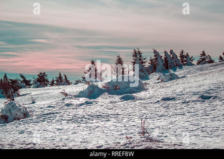 Paysage couvert de neige sur le haut de la montagne Brocken, Harz National Park, Allemagne Banque D'Images