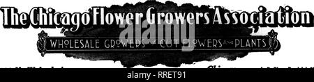 . Les fleuristes [microforme] examen. La floriculture. 38 La revue NOTBUBIB^ Fleuristes 18, 1920 GEO. C. WEILAND, Prealdcnt FSED SCHRAMM, VLC"&gt;RUDOLPH Prcsldcnt BIcCAULEY Ellsworth, Secrétaire CHARLES. Nos clients veulent-trésorier et. 182 N. Wabash Avenue.Phooc ChictigO LD 631 Randolph Maintenant vient le moment où l'alimentation et de l'équipement de grossiste sont importants pour le détaillant presque n'importe qui peut remplir des ordres d'après une mode au cours d'une partie de l'année- mais pendant les dix à douze semaines, ce sera une autre histoire. Encore une fois la demande dépassera l'offre. Pour répondre à cette situation, il y a mois prévu par notre Banque D'Images