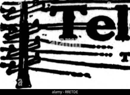 . Les fleuristes [microforme] examen. La floriculture. 3 Mabcu^ les fleuristes, 1921 93 examen. n*florlat esrdsavPMroafh*"whoa*vmgt eaxtrlnmthishMtf ^.mn de ottMT florlats**** pour deltTory locaux sur tlio tunuU dans. Veuillez noter que ces images sont extraites de la page numérisée des images qui peuvent avoir été retouchées numériquement pour plus de lisibilité - coloration et l'aspect de ces illustrations ne peut pas parfaitement ressembler à l'œuvre originale.. Chicago : les fleuristes Pub. Co Banque D'Images