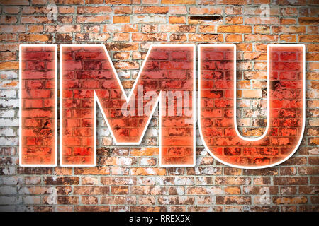 IMU (ce qui signifie l'impôt municipal unique) le plus impopulaire taxe italienne sur les terrains et immeubles - Notion de droit Banque D'Images