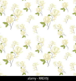 Clip art numérique Magnolia fleurs Aquarelle fleurs fleurs yellor illustration illustration similaire Banque D'Images