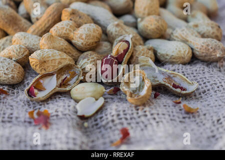 L'arachide (Arachis hypogaea) sur surface sac Banque D'Images