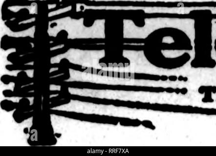 . Les fleuristes [microforme] examen. La floriculture. 96 La revue Afbil^ Fleuristes 7, 1921. Veuillez noter que ces images sont extraites de la page numérisée des images qui peuvent avoir été retouchées numériquement pour plus de lisibilité - coloration et l'aspect de ces illustrations ne peut pas parfaitement ressembler à l'œuvre originale.. Chicago : les fleuristes Pub. Co Banque D'Images