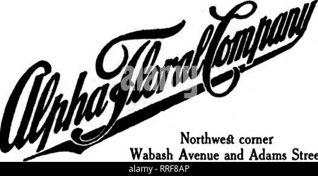 . Les fleuristes [microforme] examen. La floriculture. CHICAGO-les maisons des rameurs-CHICAGO notre devise "Satisfaction, qualité et service". Veuillez noter que ces images sont extraites de la page numérisée des images qui peuvent avoir été retouchées numériquement pour plus de lisibilité - coloration et l'aspect de ces illustrations ne peut pas parfaitement ressembler à l'œuvre originale.. Chicago : les fleuristes Pub. Co Banque D'Images
