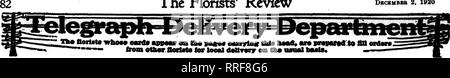 . Les fleuristes [microforme] examen. La floriculture. Les fleuristes^ Dkcbmbbb 2 Examen, 1920. LRATCLIFFE tHcSHer 209 JOHN RICHMOND West Broad Street ^ ^^^.. ZT WHITE SULPHUR SPRINGS. VIRGINIE W. VA. TLOWERS DE QUALITÉ' Birmingham, Ala. .1^ c GOLDSBORO, N. C Ville de passage à l'Est de la Caroline du Nord GOLDSBORO CO. FLORAUX Serres Modem - un magasin de détail Membres F. T. X&gt ;. 20 ans d'expérience et environs Charlotte, N. C. ScholtZ, L ™rist États les fleuristes Livraison de télégraphe Ass'n. Charlotte, N.C. Et ENVIRONS LA BOUTIQUE DE FLEURS 203 N. TRYON ST. Les États F. T. D. MONTGOMERY, ALA. Virginia's Leading Fleuristes Rosemo Banque D'Images