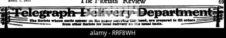 . Les fleuristes [microforme] examen. La floriculture. 7 Apbil Rorists^ 1921, l'examen. Veuillez noter que ces images sont extraites de la page numérisée des images qui peuvent avoir été retouchées numériquement pour plus de lisibilité - coloration et l'aspect de ces illustrations ne peut pas parfaitement ressembler à l'œuvre originale.. Chicago : les fleuristes Pub. Co Banque D'Images