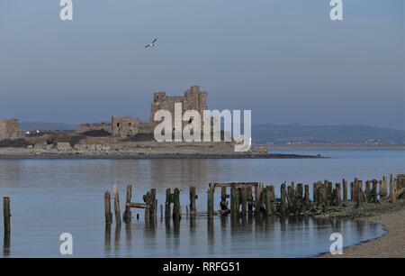 Cumbria UK. 25 févr. 2019. Météo britannique. Journée chaude, ciel voilé de South Walney Réserve Naturelle. Vue vers Piel château sur la côte du comté de Cumbrie. C.Crédit Hall / Alamy Live News. Banque D'Images