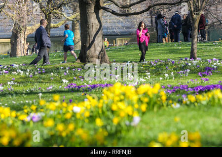 Les gens ont vu le soleil brille à St James's Park sur la plus chaude journée de février à Londres. Banque D'Images