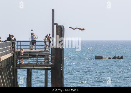 Adélaïde, Australie. Feb 26, 2019. Les gens sauter du ponton de la plage de Glenelg pour vous rafraîchir par une chaude journée dans la chaleur torride de l'Adélaïde comme un code rouge est émis pour les conditions météorologiques extrêmes dans le sud de l'Australie Crédit : amer ghazzal/Alamy Live News Banque D'Images