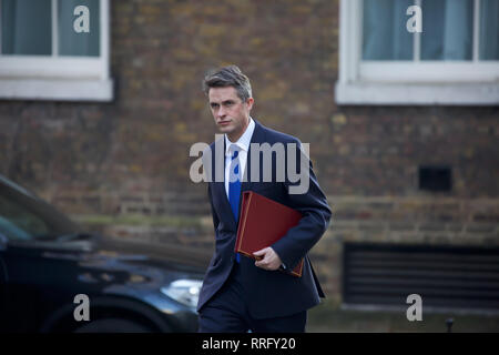 Londres, Royaume-Uni. Feb 26, 2019.Le Secrétaire d'État à la défense la Rt Hon Gavin Williamson CEPB MP arrive pour la réunion hebdomadaire du cabinet au 10 Downing Street à Londres. Premier Ministre, Theresa May, devrait donner aux députés une déclaration plus tard aujourd'hui aux attentes de plus en plus qu'elle offrira un accord de compromis pour éviter toute éventuelle démissions. Credit : Keith Larby/Alamy Live News Banque D'Images