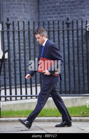 Londres, Royaume-Uni. Feb 26, 2019.Le Secrétaire d'État à la défense la Rt Hon Gavin Williamson CEPB MP arrive pour la réunion hebdomadaire du cabinet au 10 Downing Street à Londres. Premier Ministre, Theresa May, devrait donner aux députés une déclaration plus tard aujourd'hui aux attentes de plus en plus qu'elle offrira un accord de compromis pour éviter toute éventuelle démissions. Credit : Keith Larby/Alamy Live News Banque D'Images