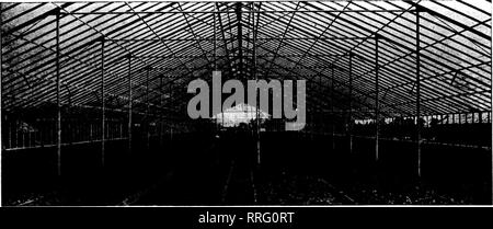 . Les fleuristes [microforme] examen. La floriculture. FXBBDABT 10, 1921 Les fleuristes^ cKJng 163 Examen des serres. Cadre en acier de 60 pieds télévision rafter Rose house. Brevet "King" L'avant-toit porte-à-goutte à mur- aucune éclaboussure-pas de point noir.. Veuillez noter que ces images sont extraites de la page numérisée des images qui peuvent avoir été retouchées numériquement pour plus de lisibilité - coloration et l'aspect de ces illustrations ne peut pas parfaitement ressembler à l'œuvre originale.. Chicago : les fleuristes Pub. Co Banque D'Images