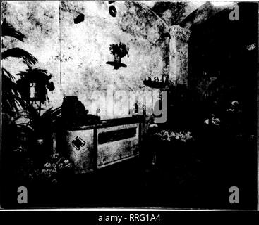 . Les fleuristes [microforme] examen. La floriculture. Les fleurs sont les seules choses visibles jU" ce magasin. tliitt il serait-il plus hcniitiful tlio "magasin de fleurs en Amérique." Une invitation est lancée le Jones-Kusseli liy Co. pour les fleuristes, isitinj levcland ; ('^ pour visiter j)laee et voir l'ior eux-mêmes. fichier repiililic irlandais, au lieu de l'heure- honoré ureen d'oeillets. Nous croyons que dans Iiisli stiinulate sections cette combinaison permettra la vente de fleurs." NEW YORK. Salons de printemps sont ici. Le temps ajjain est ici lorsque le flo- rist peut, par un ])rofusion de stock à bulbe et ses pendants Banque D'Images