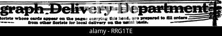 . Les fleuristes [microforme] examen. La floriculture. 111 flortota eaids* qui** awar sur th" pas oanrto* jusqu'* hmM, • »• ttotn flortat*- vttMV tor local d'Iti**ry oa ttw. Le premier membre de CINCINNATI FLEURISTE F. T. D. ^ uOOw&gt;3&lt;L ft-JO^^ K 138-140 East Fourth Street très Prkpakel du tout. Fois Edwards Flore) Compauy Hall 171t Pacific Avenue Atlantic City, dans Jersej Mediterraneat : pépinières et de la Caroline du Sud Aves Kember les fleuristes Livraison de télégraphe Ass'e. Veuillez noter que ces images sont extraites de la page numérisée des images qui peuvent avoir été retouchées numériquement pour plus de lisibilité -. Banque D'Images
