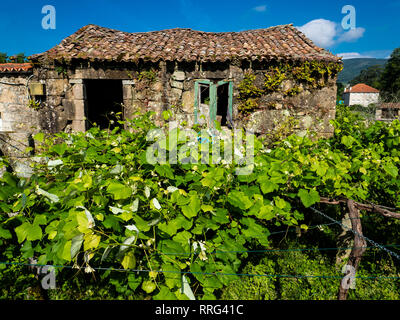 Vieille maison en pierre au Portugal avec des vignes Banque D'Images